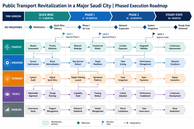 Public Transport Revitalization for a Major City