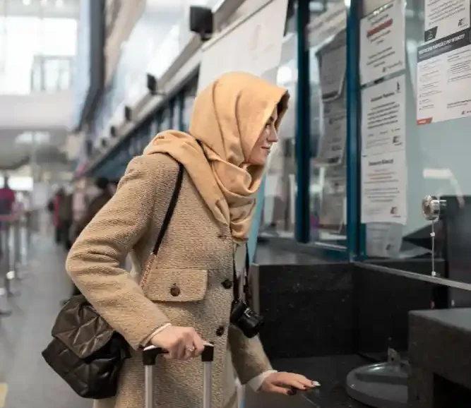 Mass Transit Solutions Mass Transit Solutions